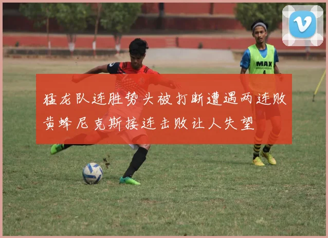猛龙队连胜势头被打断遭遇两连败黄蜂尼克斯接连击败让人失望